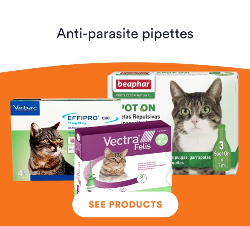 /cats/s_pipette