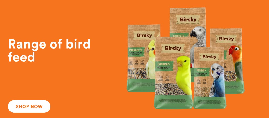 /birds