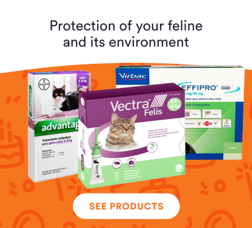 /cats/s_pipette