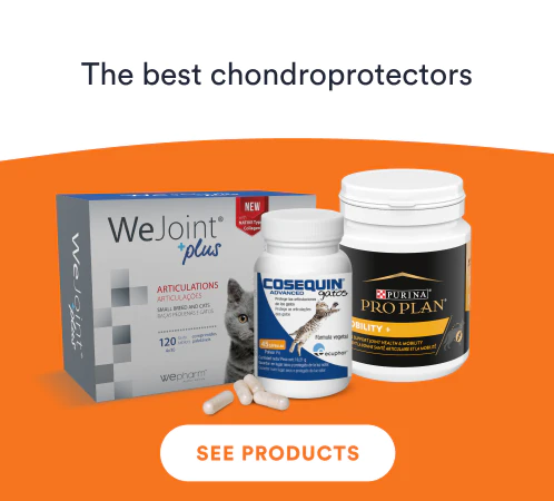 /cats/c_supplements_bonesandmuscles#list