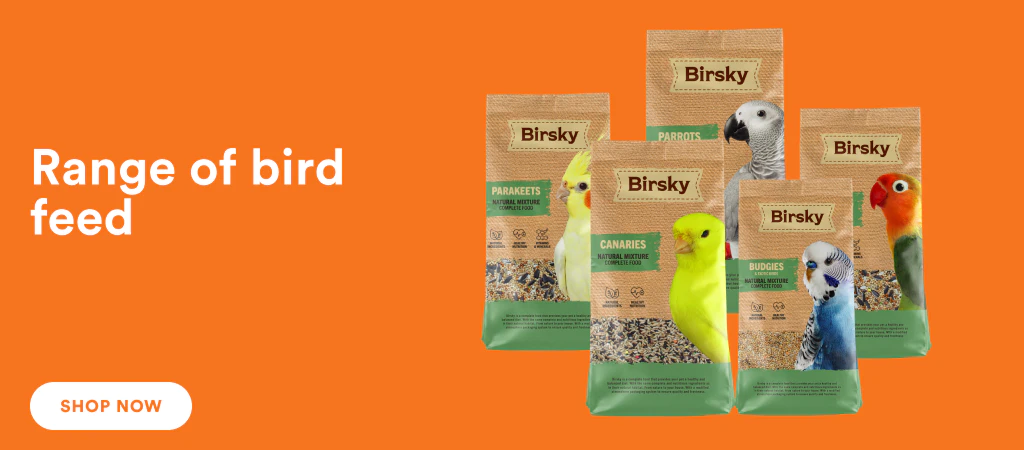 /birsky