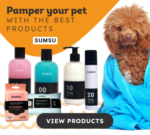 Pet Accessories - Pamper Your Pet