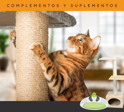 /gatos/s_rascadores