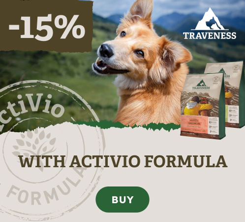 /c/digitaldays-traveness
