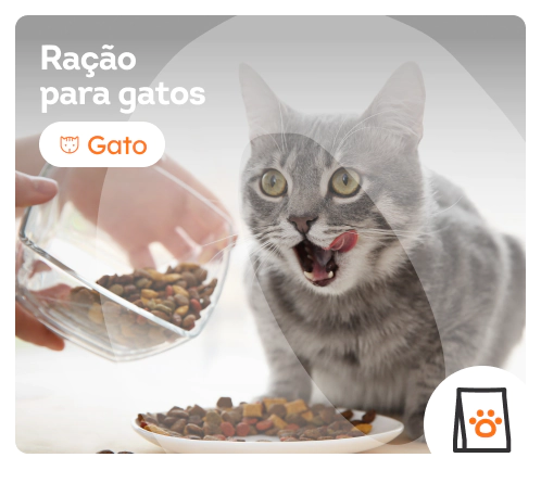 /gatos/s_racao-para-gatos