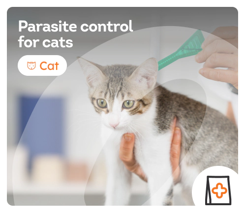 /cats/c_anti-parasite
