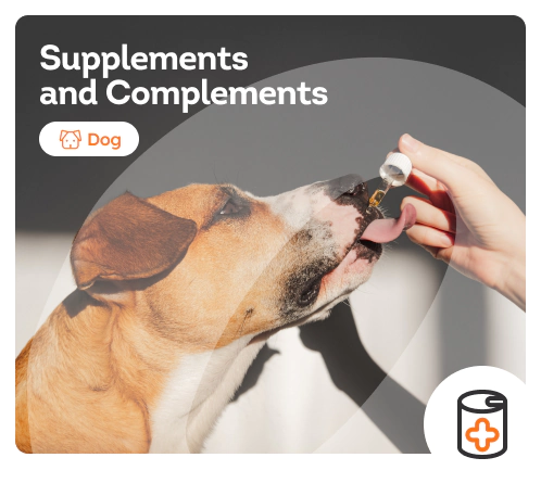 /dogs/c_supplements