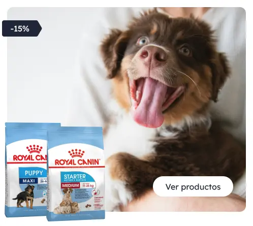 /c/navidad-royaldog