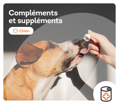 /chiens/c_complements-et-supplements