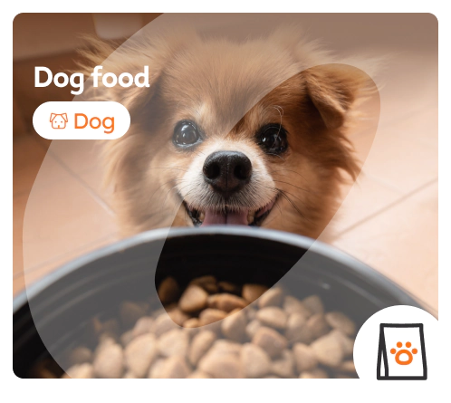 /dogs/c_food