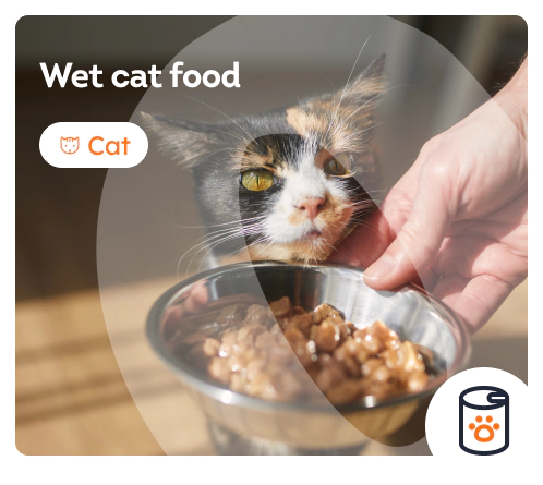 /cats/s_wet-food