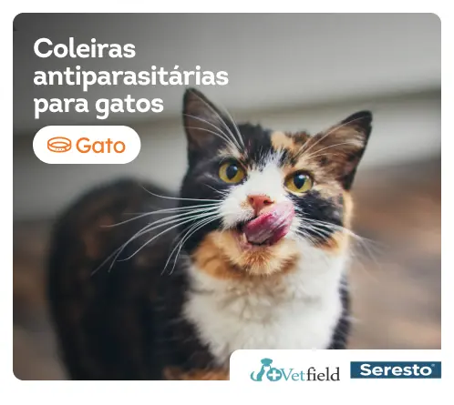 /gatos/s_colares