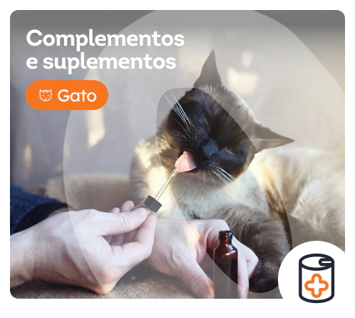 /gatos/c_complementos-e-suplementos
