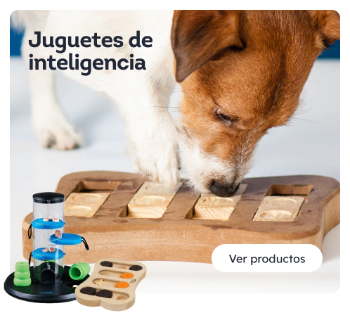 /perros/s_inteligencia-interactivos