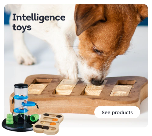 /dogs/s_intelligence-toys