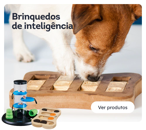 /caes/s_inteligencia-brinquedos