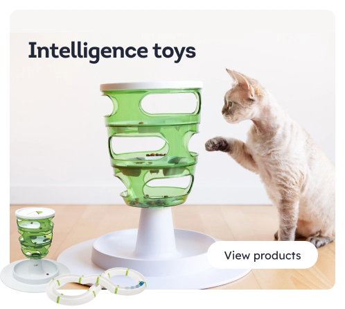 /cats/s_intelligence-interactive