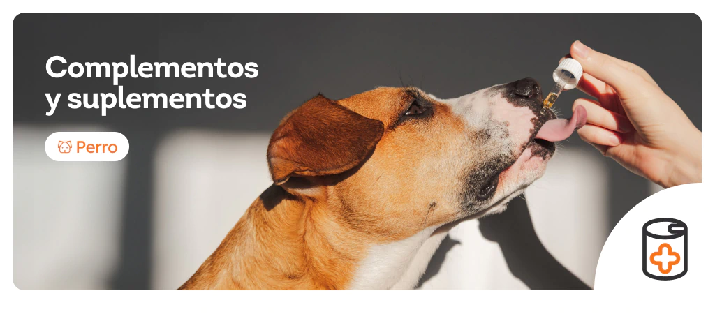 /perros/c_complementos-suplementos