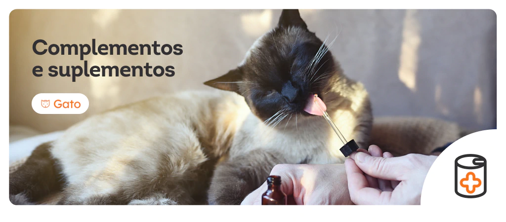 /gatos/c_complementos-e-suplementos