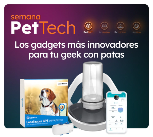 /c/noviembre-techdog