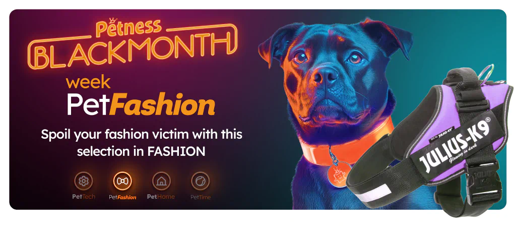 /c/noviembre-fashiondog