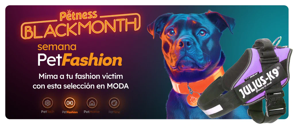 /c/noviembre-fashiondog