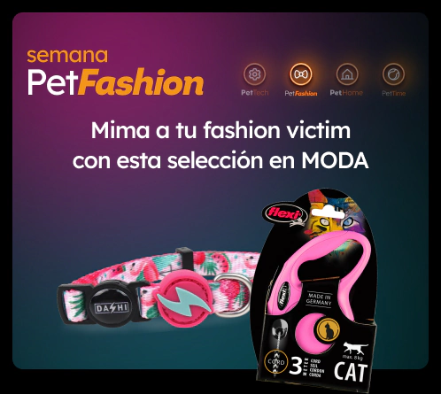 /c/noviembre-fashioncat