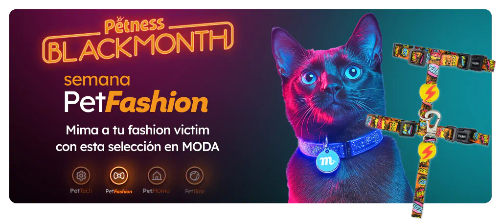 /c/noviembre-fashioncat