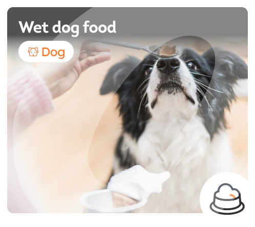 /dogs/s_wet-food