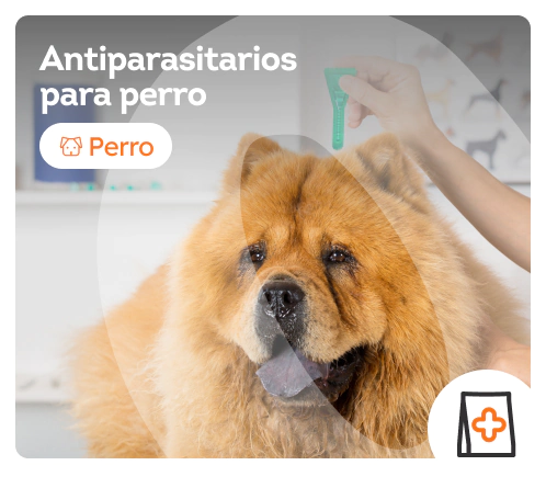 /perros/c_antiparasitarios