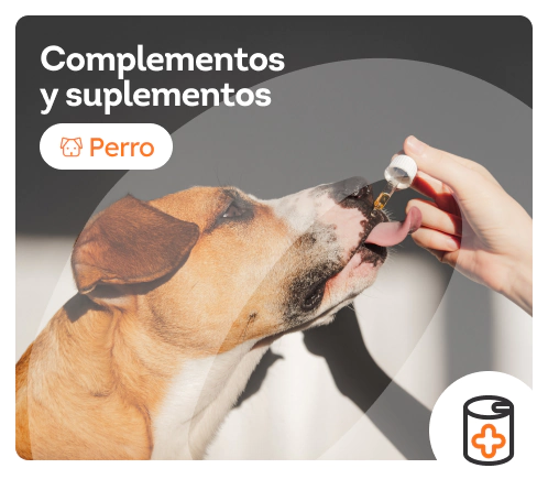 /perros/c_complementos-suplementos