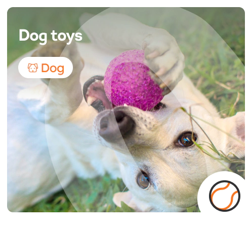 /dogs/c_toys-and-sport