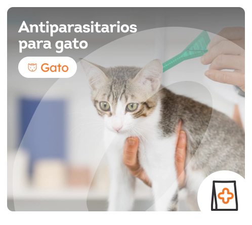 /gatos/c_antiparasitarios