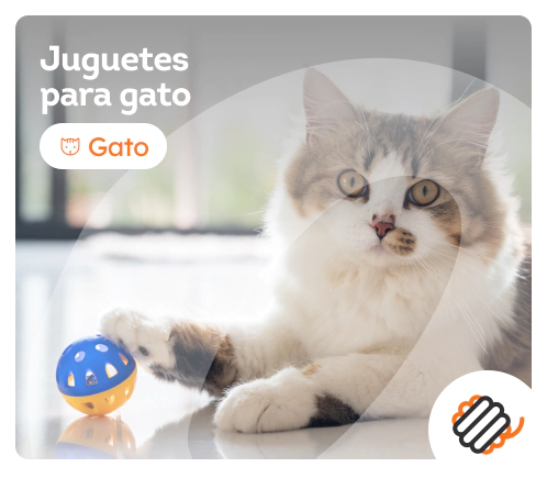 /gatos/c_juguetes