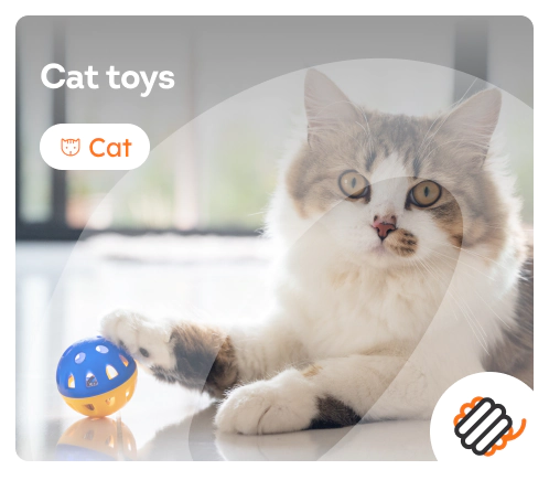 /cats/c_toys