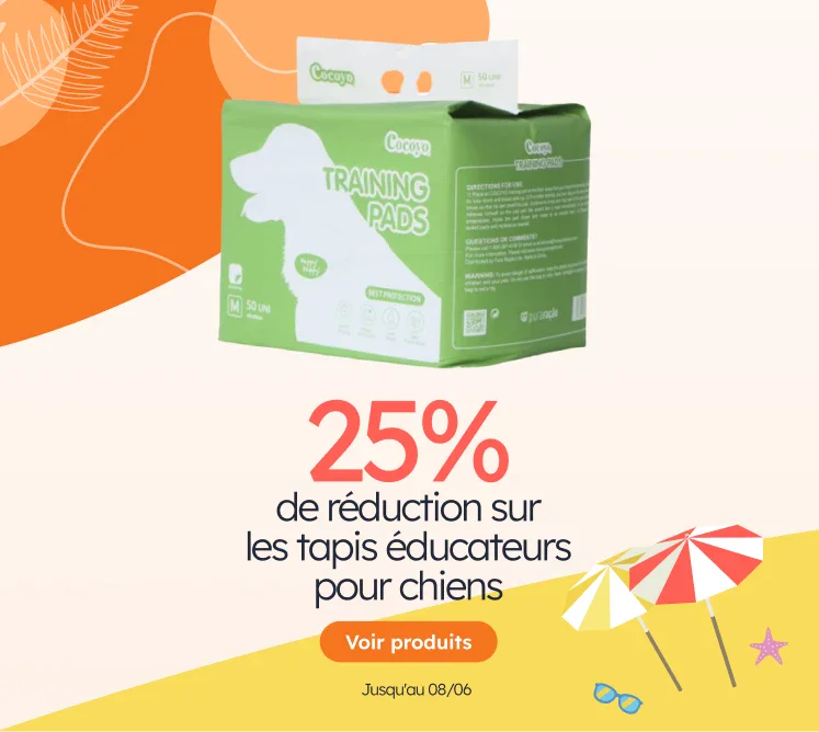 https://petness.pt/caes/cocoyo
