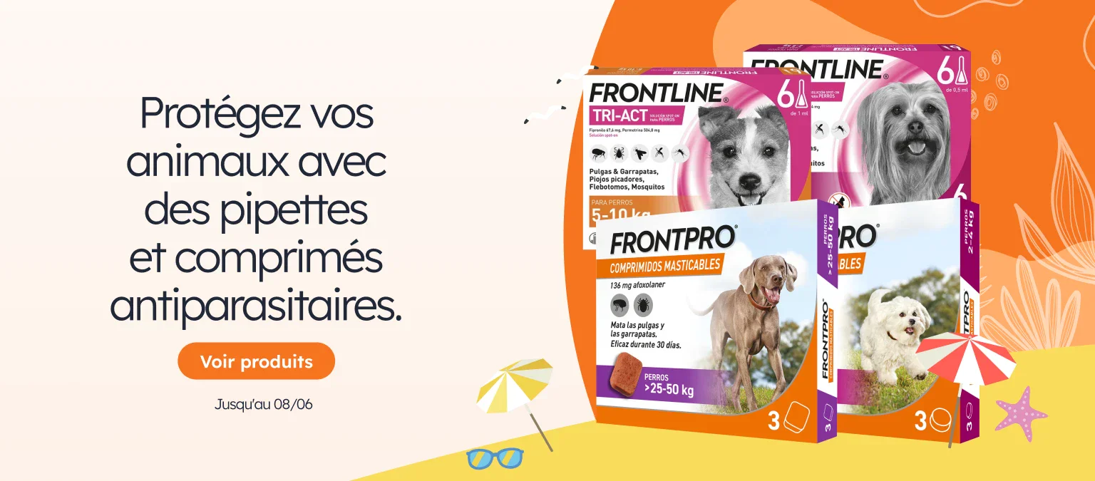 /c/junio-frontlinefrontpro