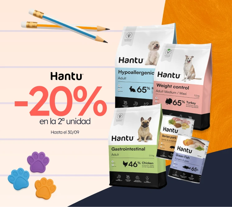 /c/setembro-hantu