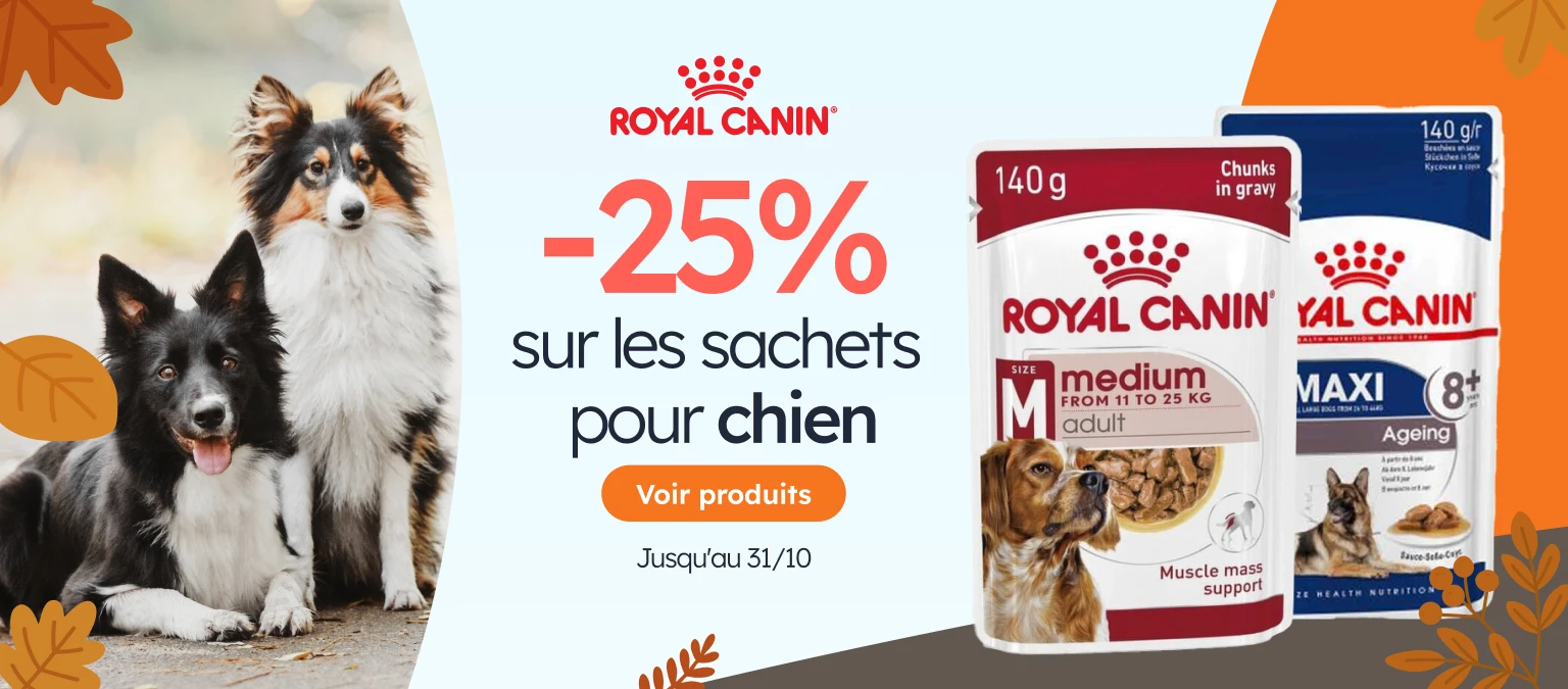 /c/octubre-royalcanin25?utm_source=home&utm_medium=banner&utm_campaign=octubre-royalcanin25&utm_cont