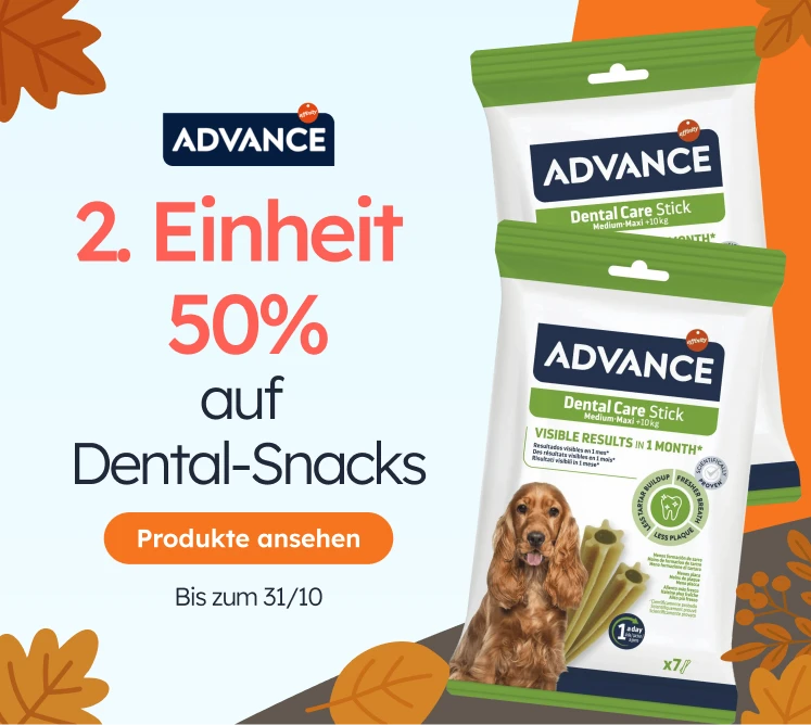 /c/octubre-advance?utm_source=home&utm_medium=banner&utm_campaign=octubre-advance&utm_content=medium