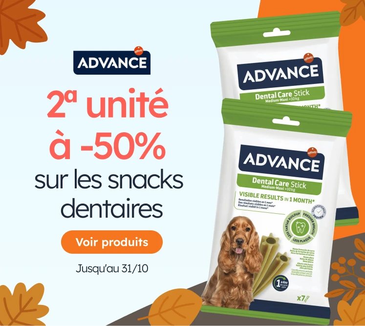 /c/octubre-advance?utm_source=home&utm_medium=banner&utm_campaign=octubre-advance&utm_content=medium