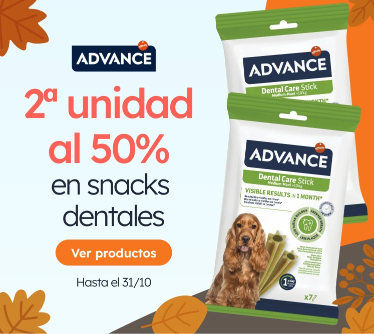 /c/octubre-advance?utm_source=home&utm_medium=banner&utm_campaign=octubre-advance&utm_content=medium