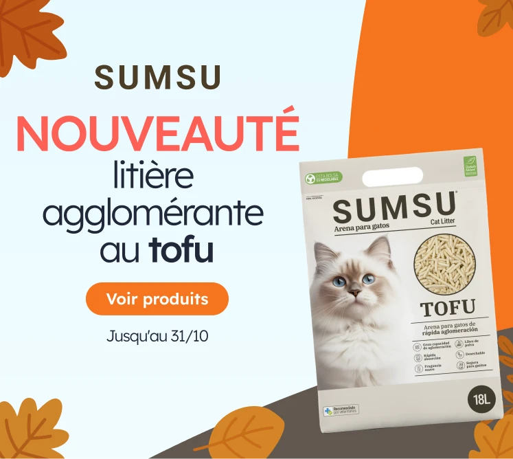 /c/octubre-sumsu?utm_source=home&utm_medium=banner&utm_campaign=octubre-sumsu&utm_content=medium-ban