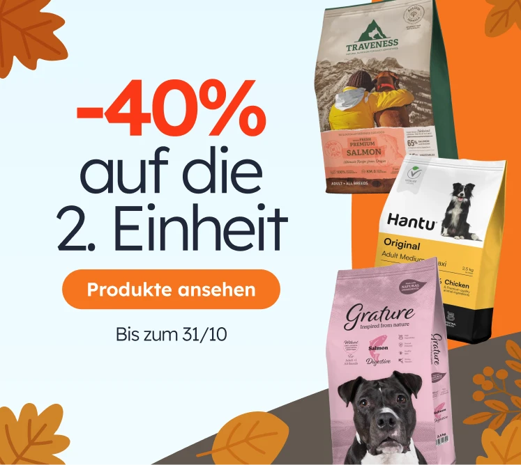 /c/octubre-pl2-40?utm_source=home&utm_medium=banner&utm_campaign=octubre-pl2-40&utm_content=medium-b