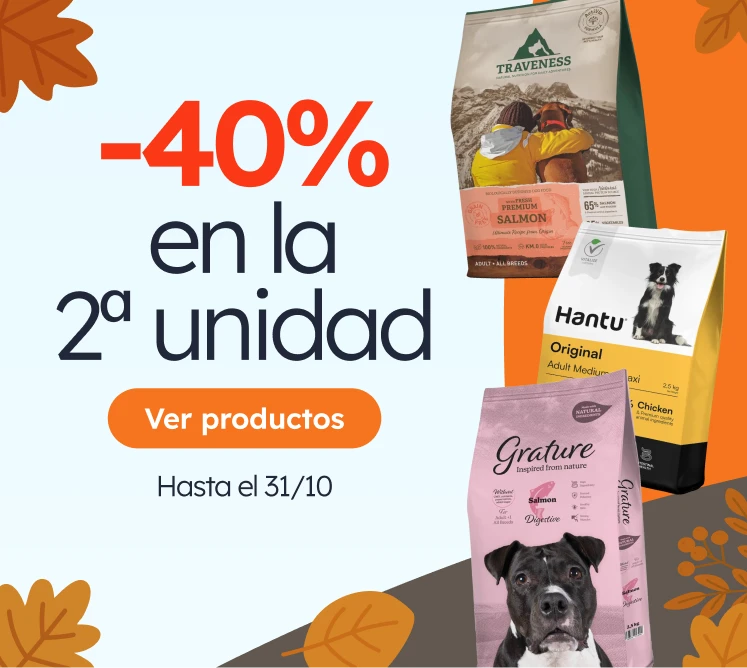 /c/octubre-pl2-40?utm_source=home&utm_medium=banner&utm_campaign=octubre-pl2-40&utm_content=medium-b