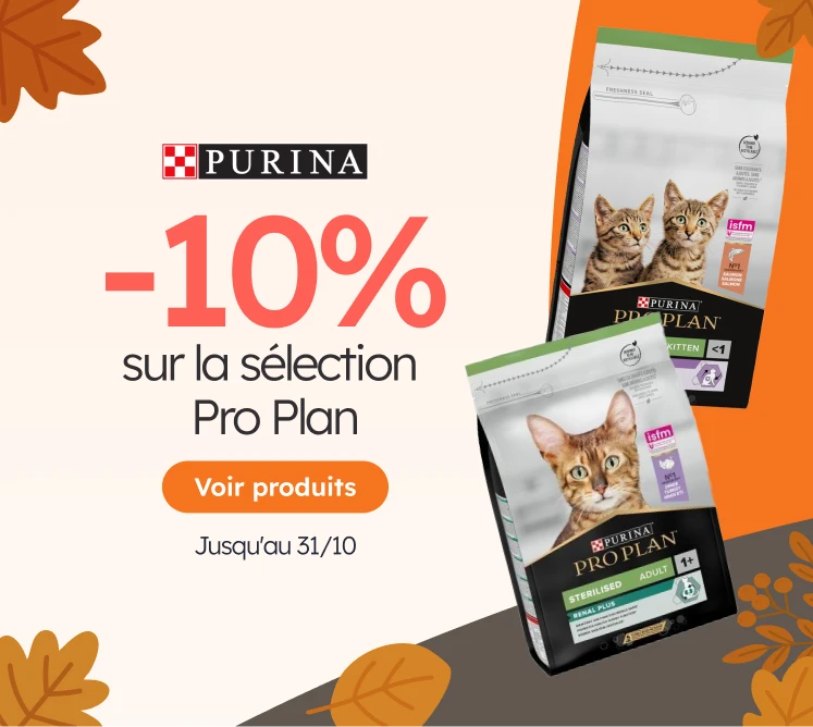 /c/octubre-proplan10?utm_source=home&utm_medium=banner&utm_campaign=octubre-proplan10&utm_content=me