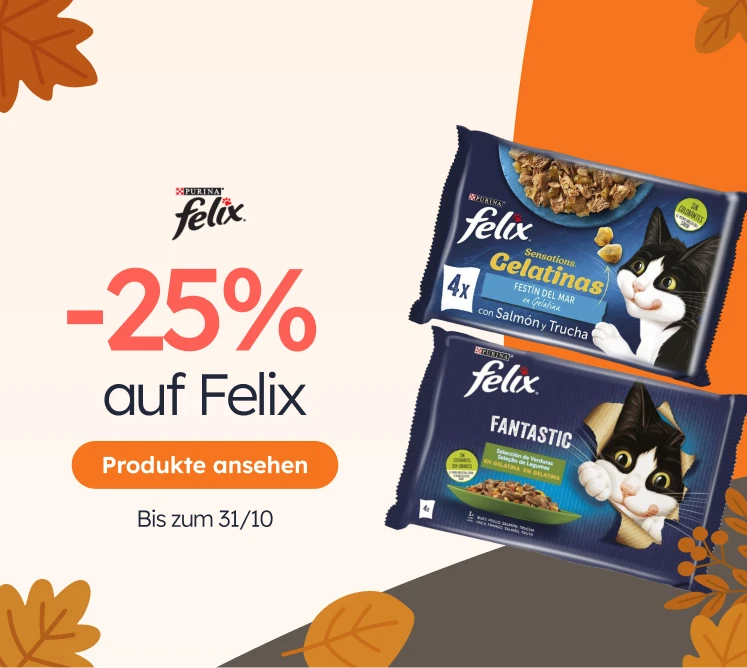 /c/octubre-felix25?utm_source=home&utm_medium=banner&utm_campaign=octubre-felix25&utm_content=medium