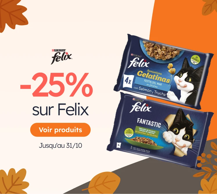 /c/octubre-felix25?utm_source=home&utm_medium=banner&utm_campaign=octubre-felix25&utm_content=medium