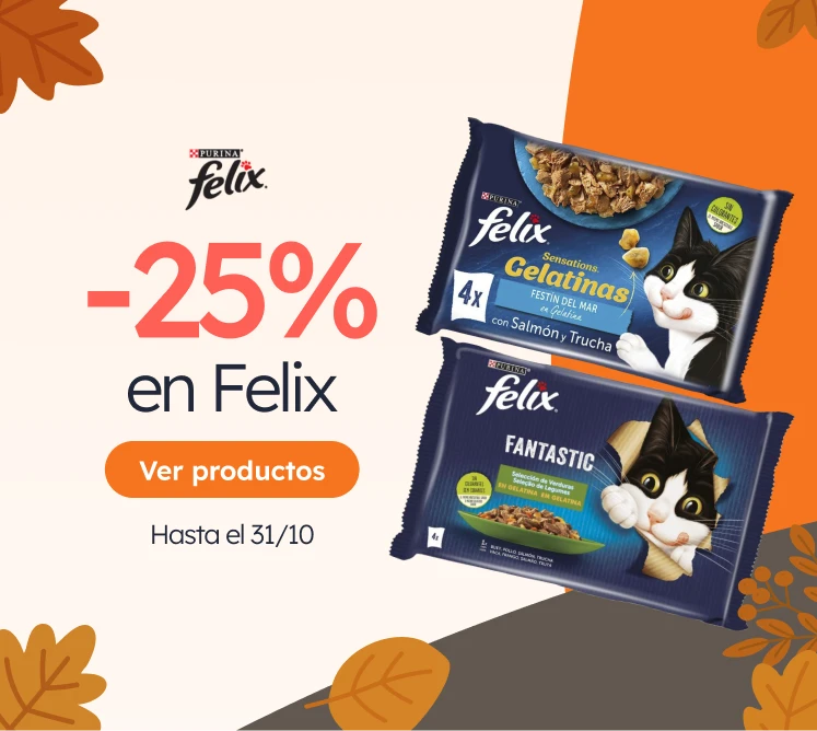 /c/octubre-felix25?utm_source=home&utm_medium=banner&utm_campaign=octubre-felix25&utm_content=medium