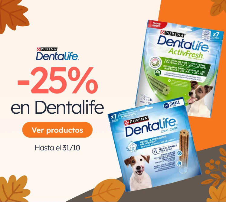 /c/octubre-dentalife25?utm_source=home&utm_medium=banner&utm_campaign=octubre-dentalife25&utm_conten